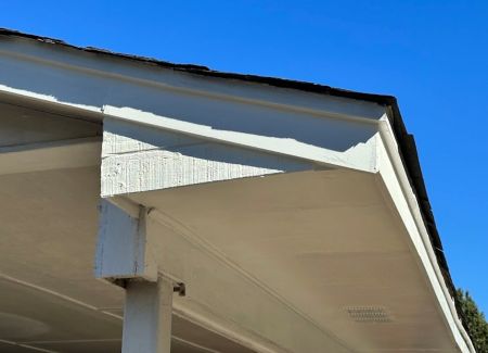 Common Signs of Wood Rot Around Your Home